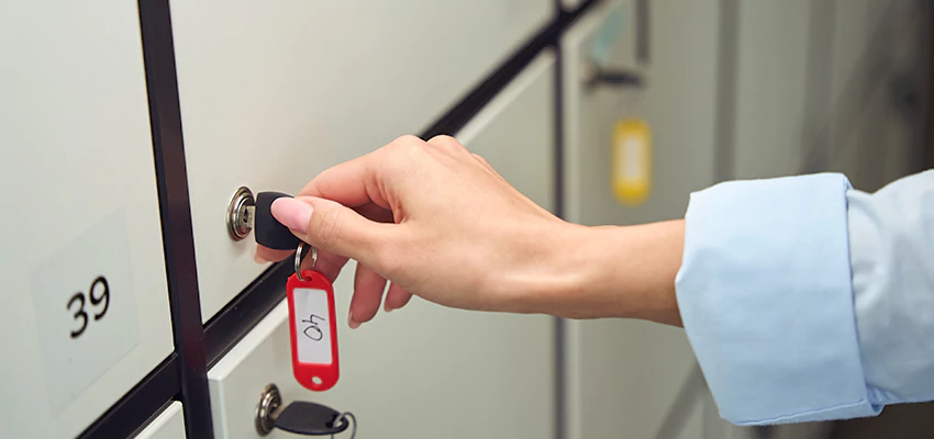 Cabinet Lock Installation in Gold River, California